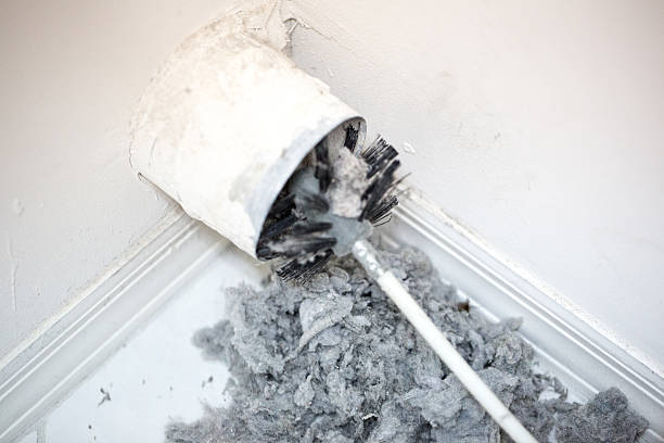 Best Residential Air Duct Cleaning  in Mapleton, ND